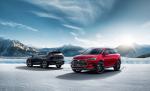 BYD Tang DM 2020 года